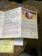 Load image into Gallery viewer, 2020 Silver &amp; Platinum National Zoo 20th Ann. Panda 3-pc Proof Set NGC PF70